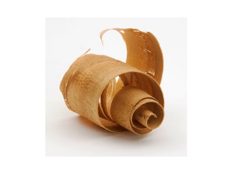 6 Kandahar Crescent, Colonel Light Gardens SA 5041