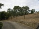 Lot 200 Clems Lane, Littlehampton SA 5250