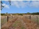 Lot 2 Lacey Road, Bugle Ranges SA 5251