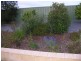 27 Craig Drive, Nairne SA 5252