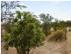 Lot 4 Princes Highway, Kanmantoo SA 5252