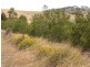 Lot 4 Princes Highway, Kanmantoo SA 5252