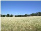 Lot 162 Bartholomew Road, Kanmantoo SA 5252