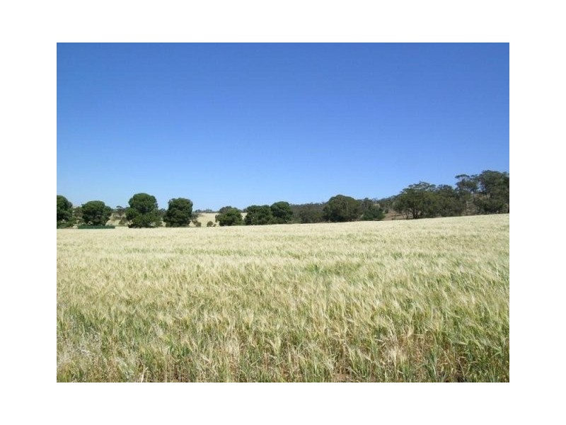 Lot 162 Bartholomew Road, Kanmantoo SA 5252
