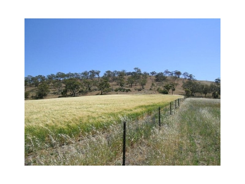 Lot 162 Bartholomew Road, Kanmantoo SA 5252