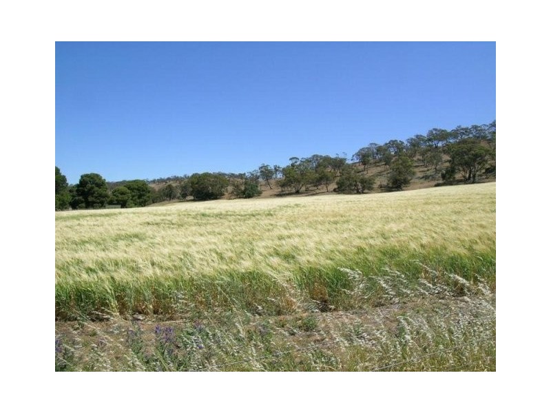 Lot 162 Bartholomew Road, Kanmantoo SA 5252