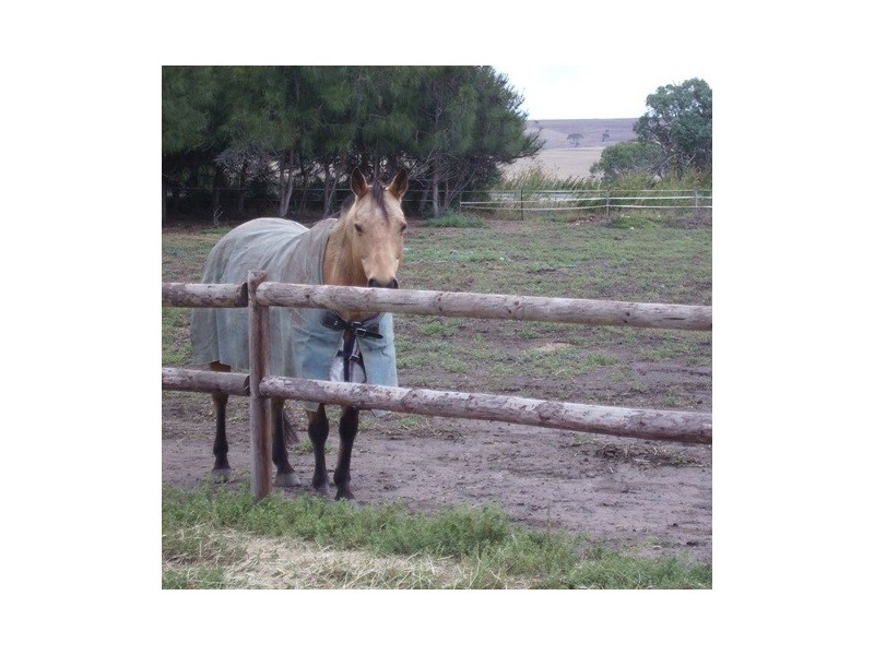 Lot 2 Wellington Road, Woodchester SA 5255