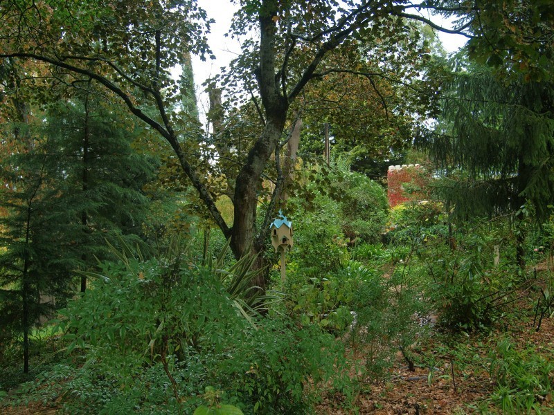 Lot 9 Wilson Road, Mylor SA 5153