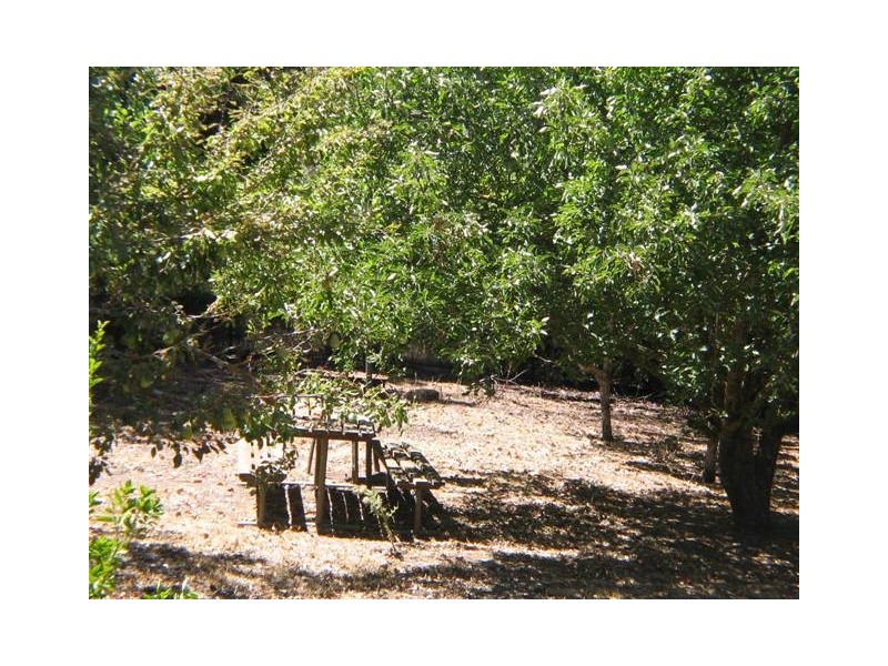 Sec 195 Hawthorn Road, Echunga SA 5153