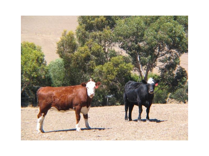 Sec 195 Hawthorn Road, Echunga SA 5153