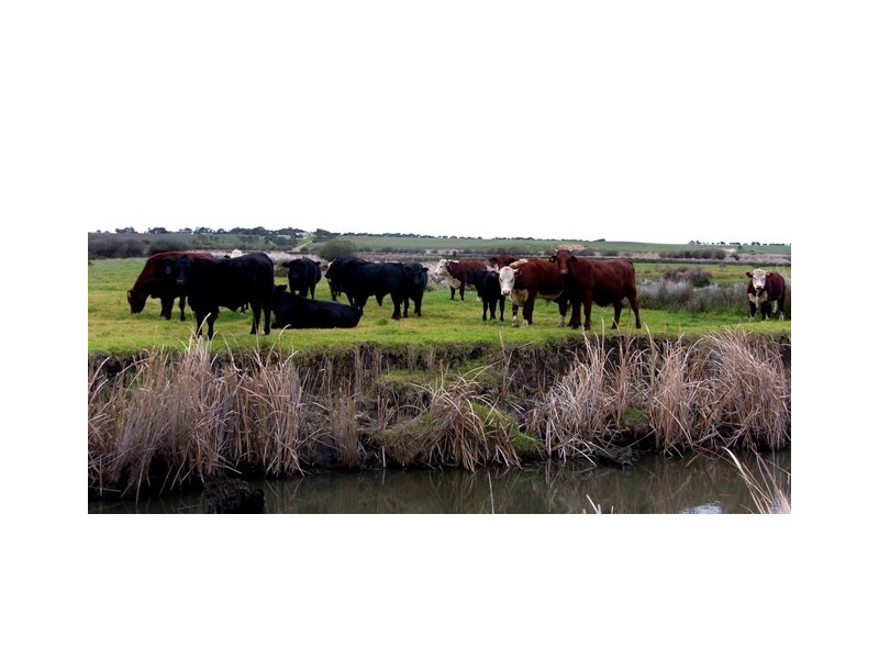 Lot 13,  Finniss-Clayton Road, Finniss SA 5255