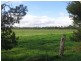 Lot 14 Clayton to Finniss Road, Finniss SA 5255