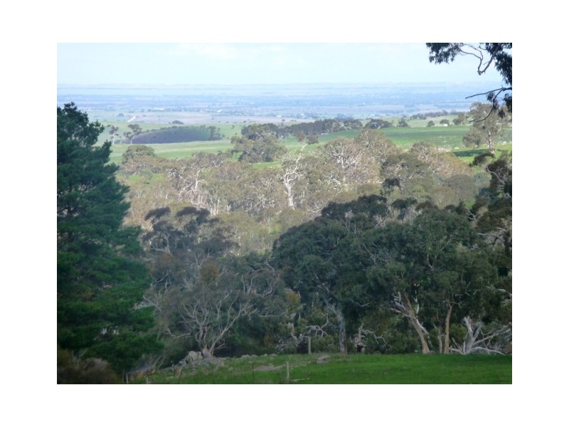 Lot 300 Archer Hill Road, Wistow SA 5251