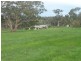 Lot 300 Archer Hill Road, Wistow SA 5251