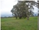 Lot 300 Archer Hill Road, Wistow SA 5251