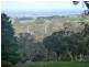 Lot 300 Archer Hill Rd, Wistow SA 5251