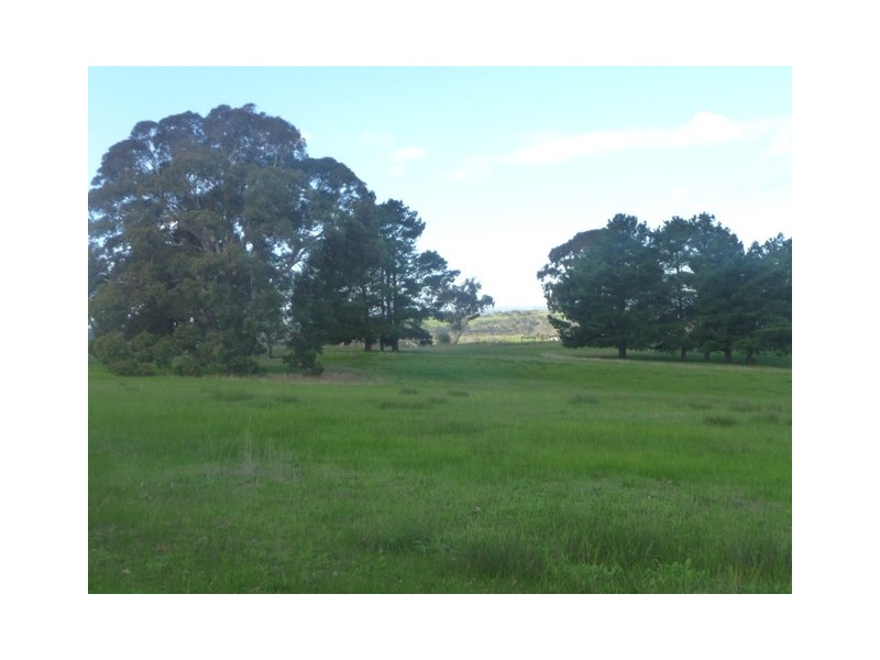 Lot 300 Archer Hill Rd, Wistow SA 5251