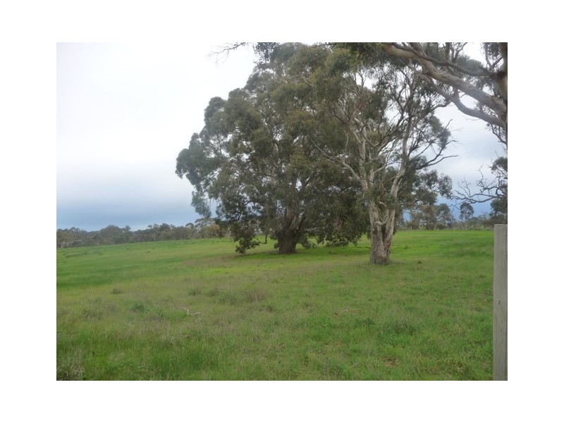 Lot 300 Archer Hill Rd, Wistow SA 5251