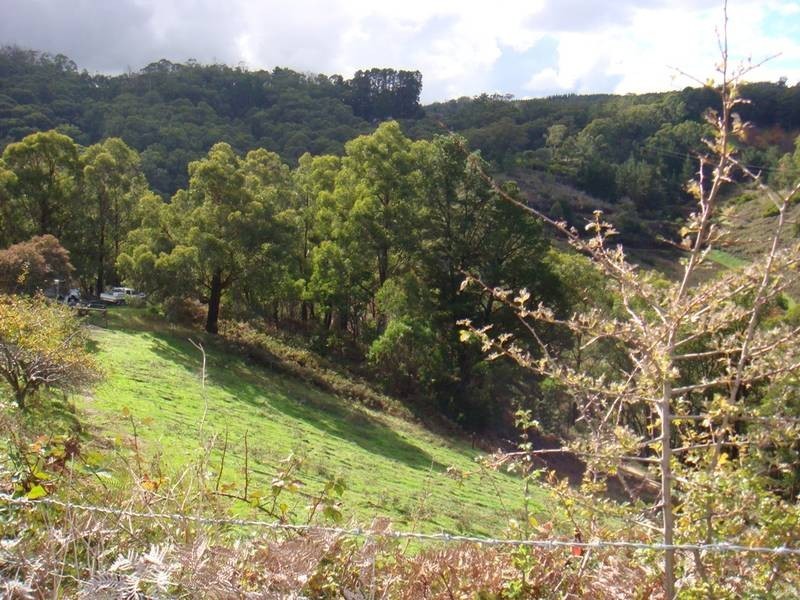 Lot 274 Blockers Road, Basket Range SA 5138