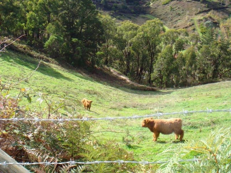 Lot 274 Blockers Road, Basket Range SA 5138