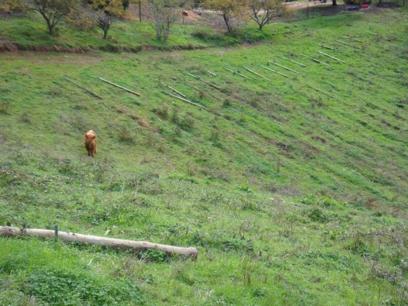 Lot 274 Blockers Road, Basket Range SA 5138