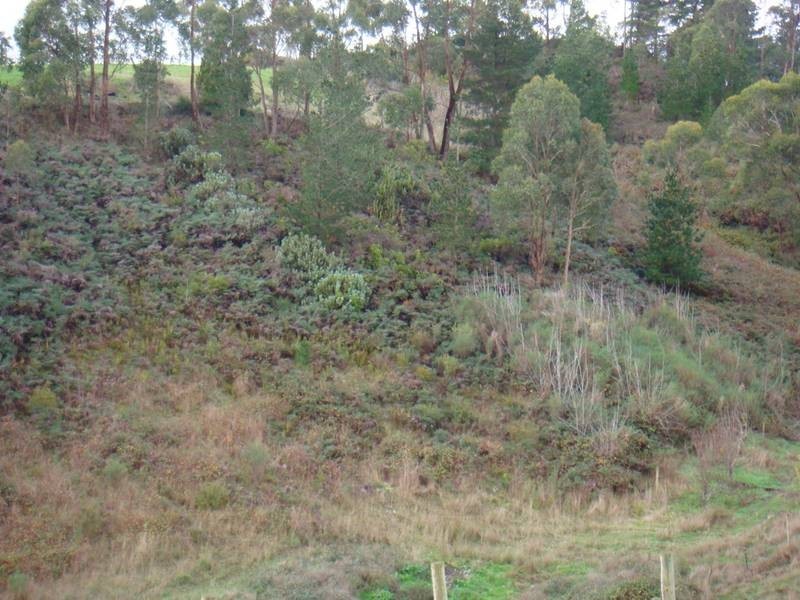 Lot 274 Blockers Road, Basket Range SA 5138