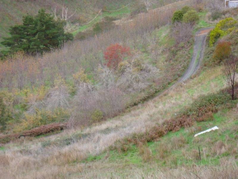 Lot 274 Blockers Road, Basket Range SA 5138