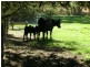 Lot 959 Adelaide-Goolwa Road, Meadows SA 5201