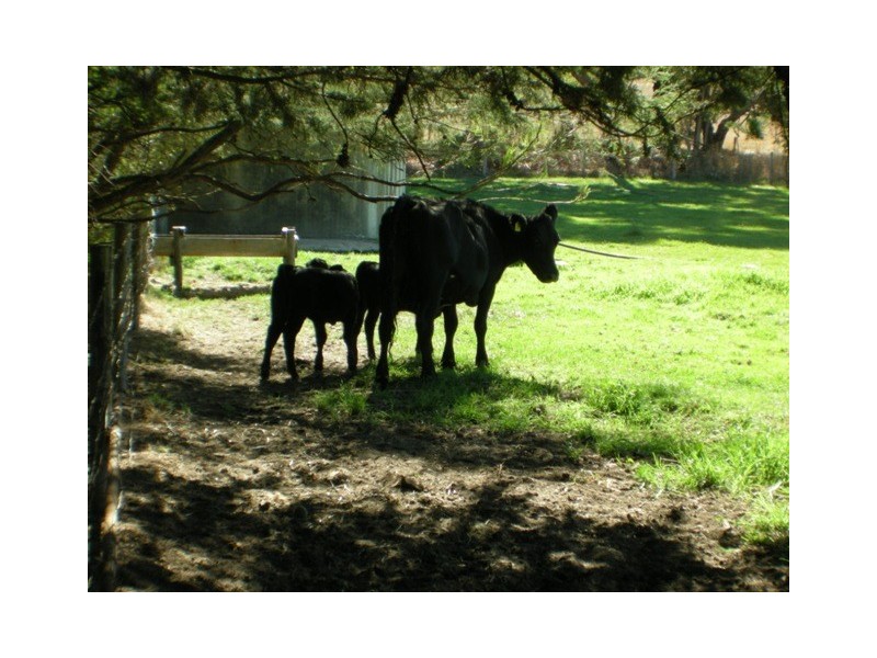 Lot 959 Adelaide-Goolwa Road, Meadows SA 5201