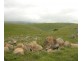 Lot 2 Range Road, Rockleigh SA 5254