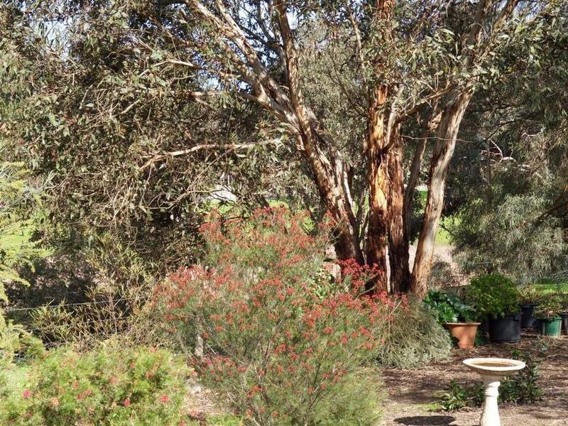 3 Britannia Road, Nairne SA 5252