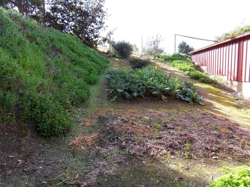 3 Britannia Road, Nairne SA 5252