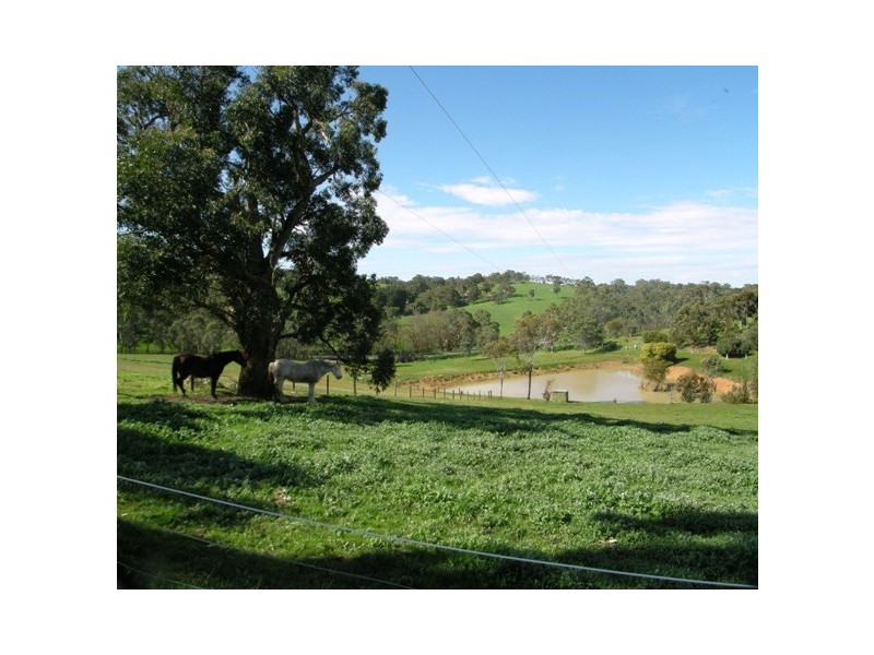 Lot 781 Strathalbyn Road, Macclesfield SA 5153