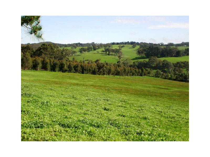 Lot 781 Strathalbyn Road, Macclesfield SA 5153
