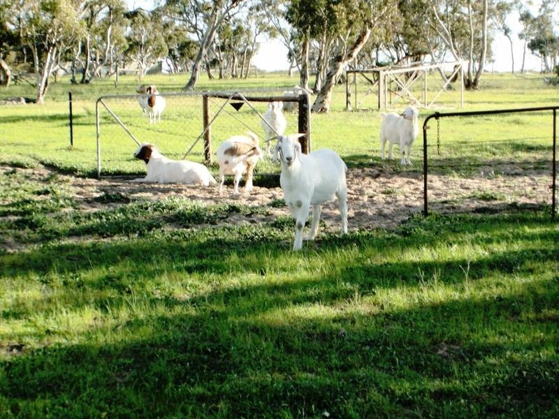 Lot 27 Jaensch Road, Hartley SA 5255