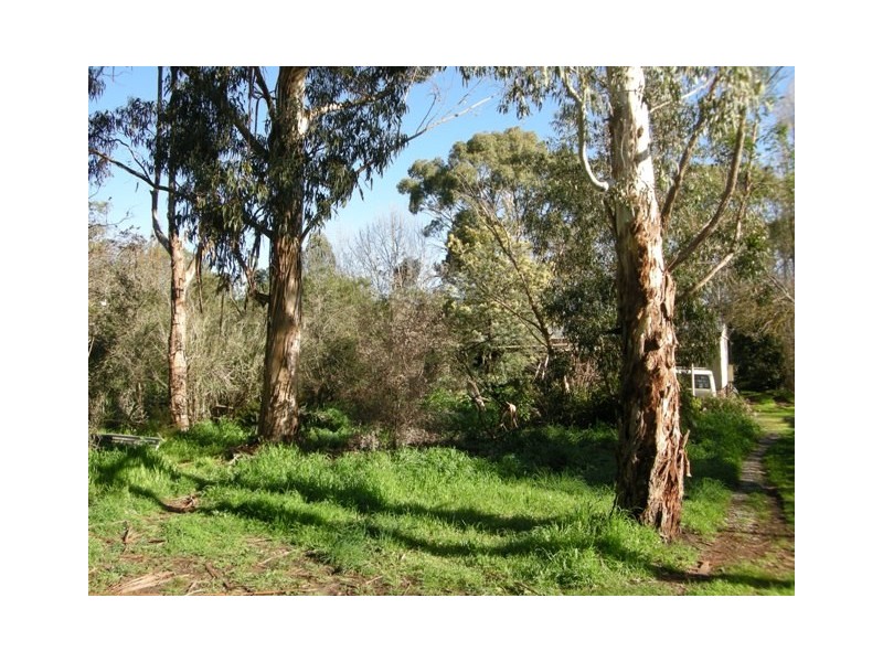 6 Hawthorn Street, Dawesley SA 5252