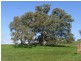 Lot 22 Mail Road, Harrogate SA 5244