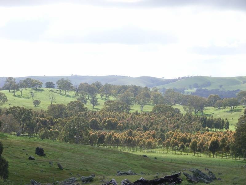 Lot 22 Mail Road, Harrogate SA 5244