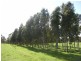 Lot 25 Appleton Road, Harrogate SA 5244