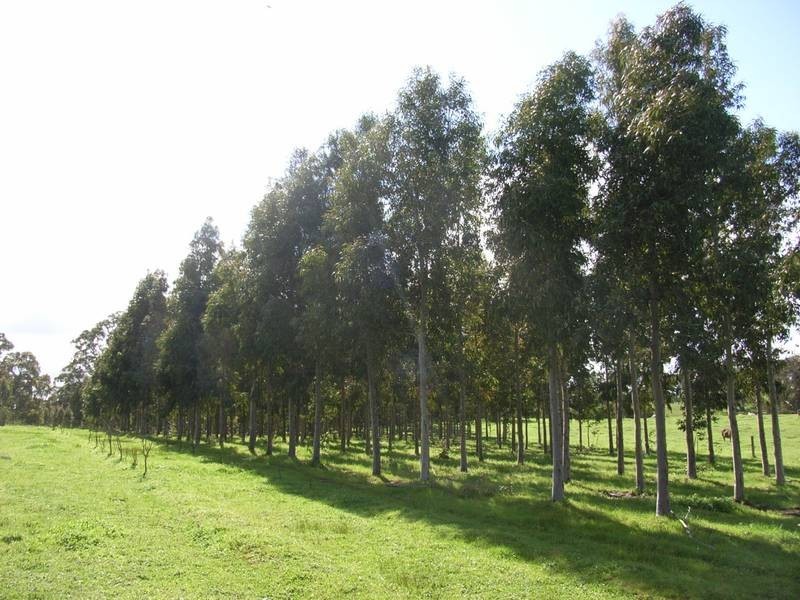 Lot 25 Appleton Road, Harrogate SA 5244