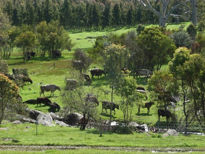 Lot 25 Appleton Road, Harrogate SA 5244