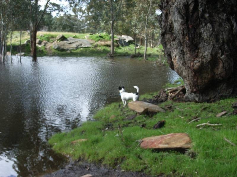 Lot 25 Appleton Road, Harrogate SA 5244