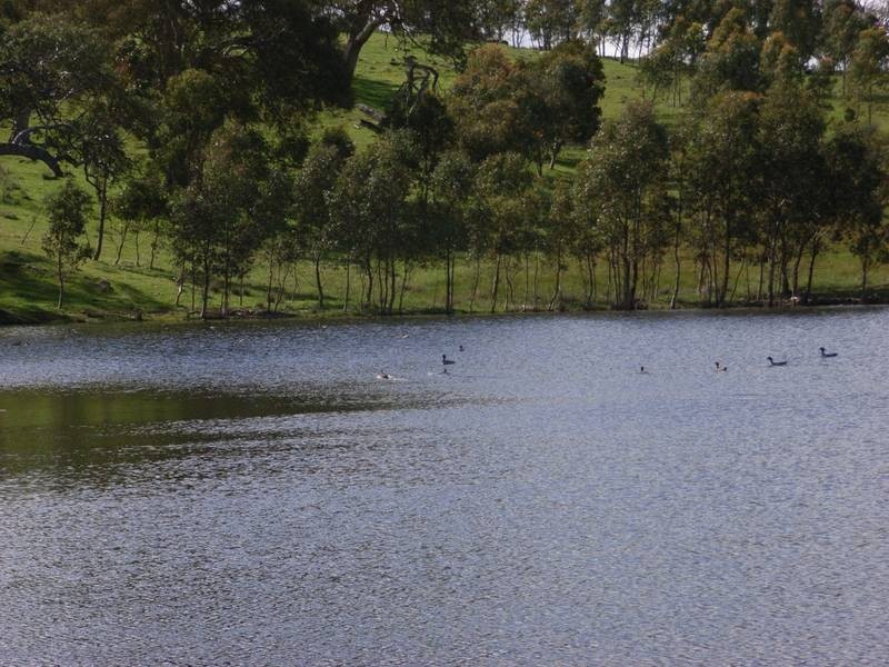 Lot 25 Appleton Road, Harrogate SA 5244