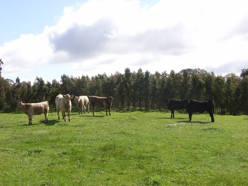 Lot 25 Appleton Road, Harrogate SA 5244
