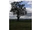 Lot 25 Appleton Road, Harrogate SA 5244