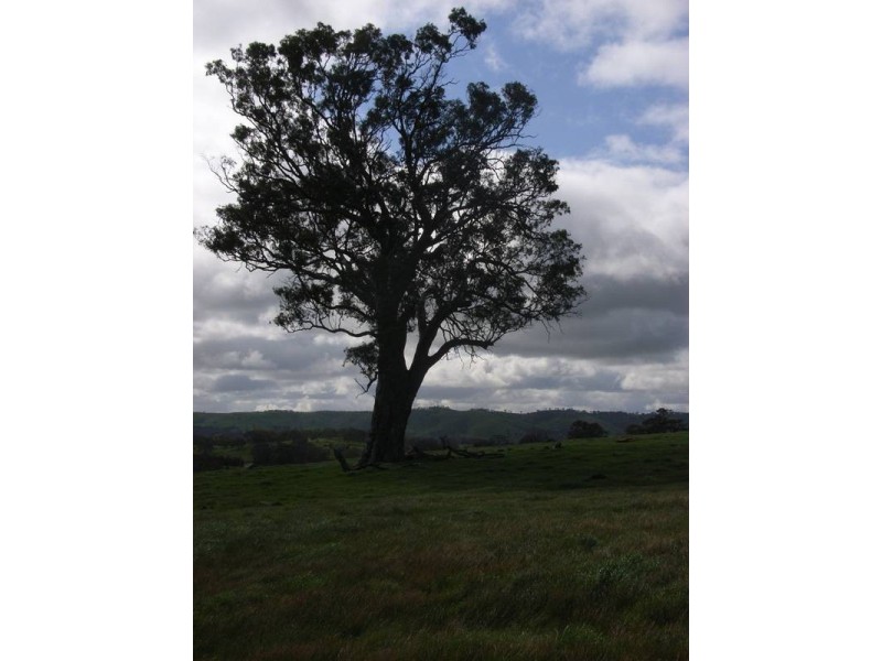 Lot 25 Appleton Road, Harrogate SA 5244