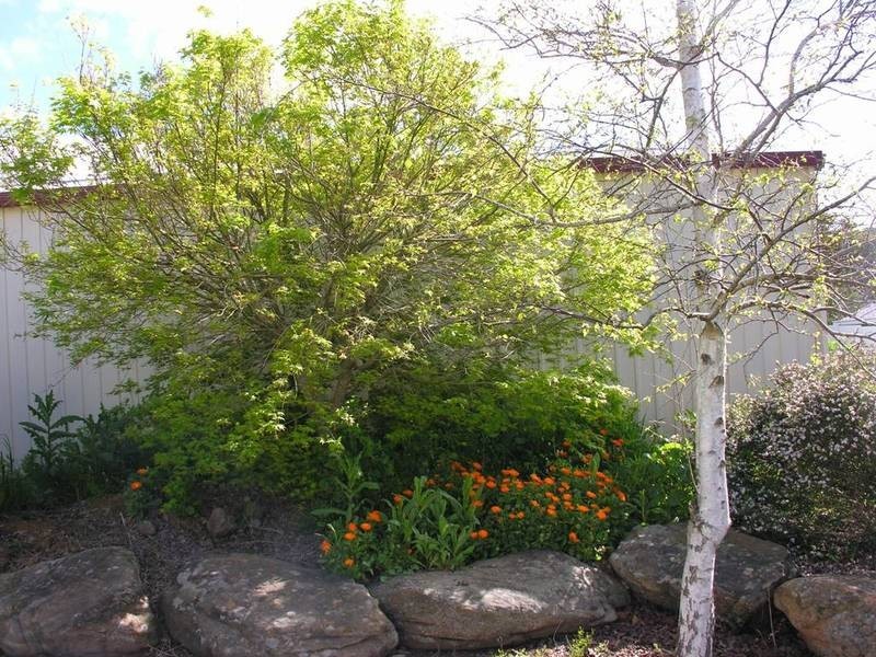 24 Hillman Drive, Nairne SA 5252