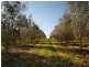 Lot 60&61 Bird In Hand Road, Woodside SA 5244