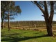 Lot 60&61 Bird In Hand Road, Woodside SA 5244