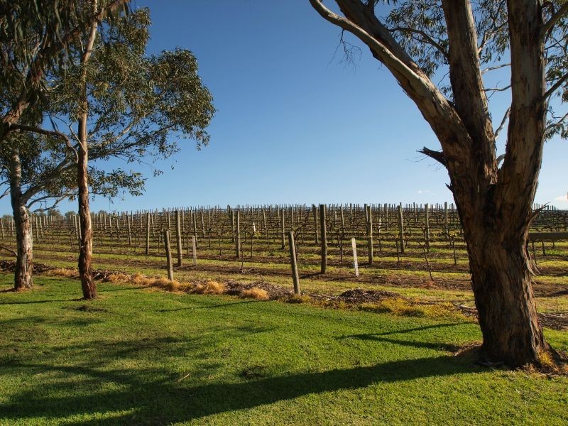 Lot 60&61 Bird In Hand Road, Woodside SA 5244
